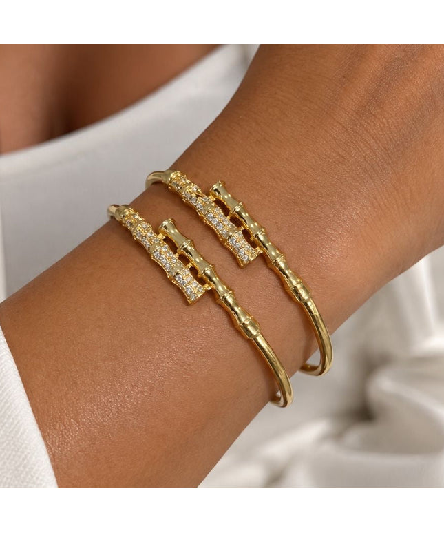 Twin Bangles