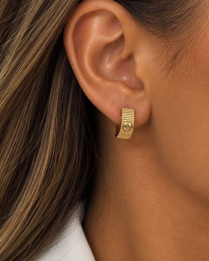 Sara’s Earrings