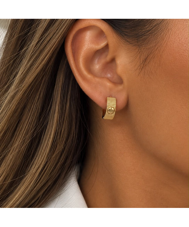 Sara’s Earrings